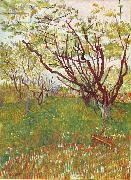 Vincent Van Gogh Cherry Tree oil painting reproduction